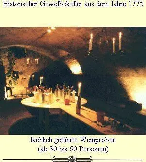 Guest house Hotel Ockenheim 3*