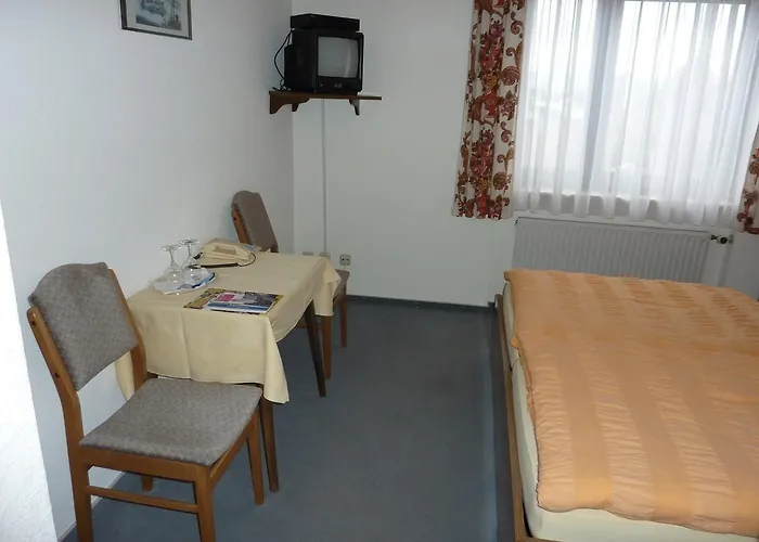 Hotel Ockenheim Guest house 3*